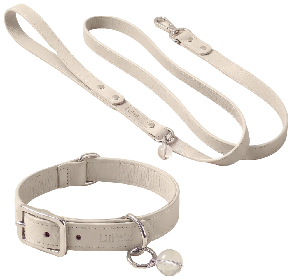 Collar + Leash Set