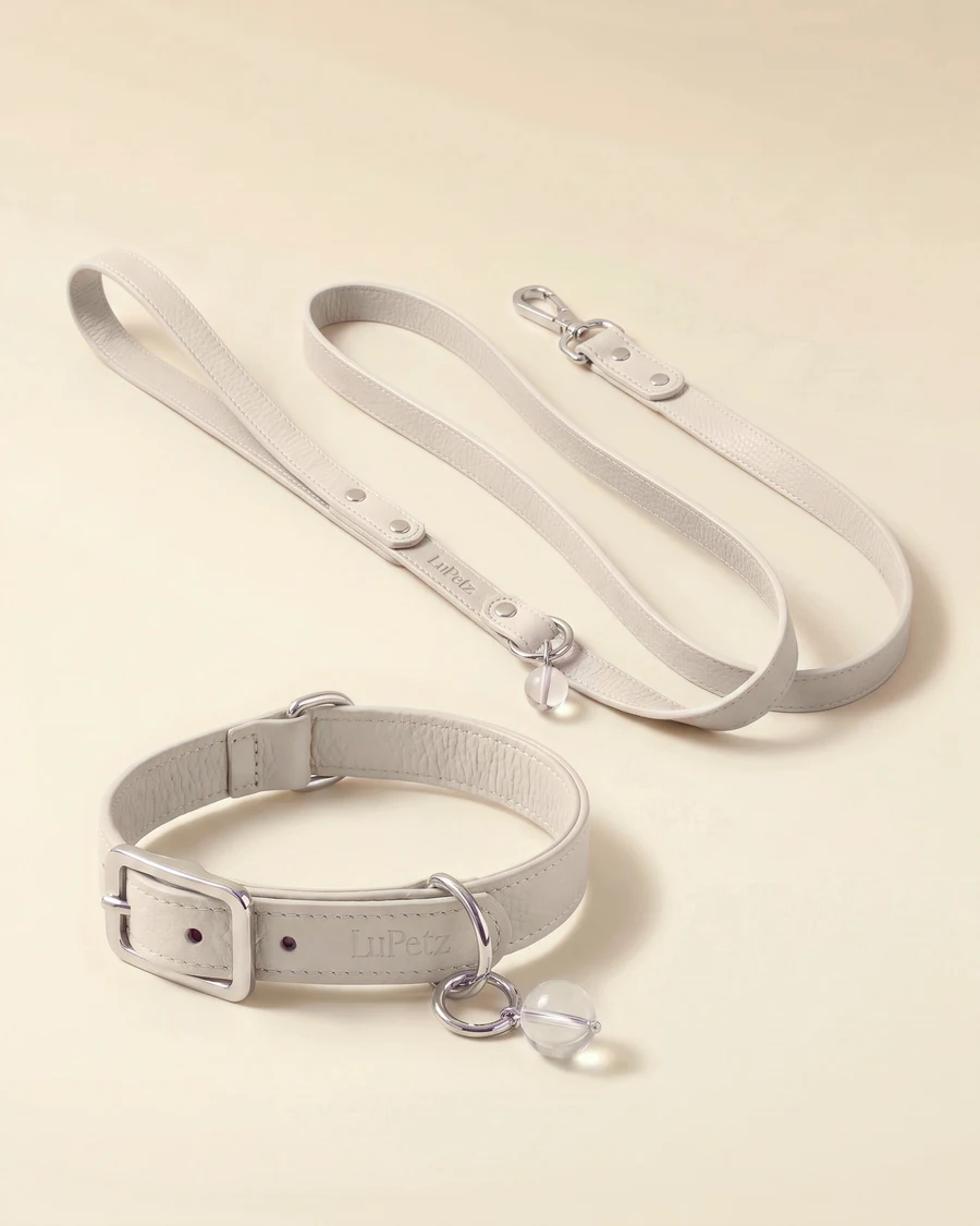 Collar + Leash Set