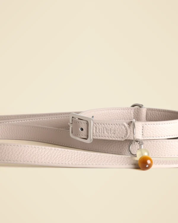 Collar + Leash Set