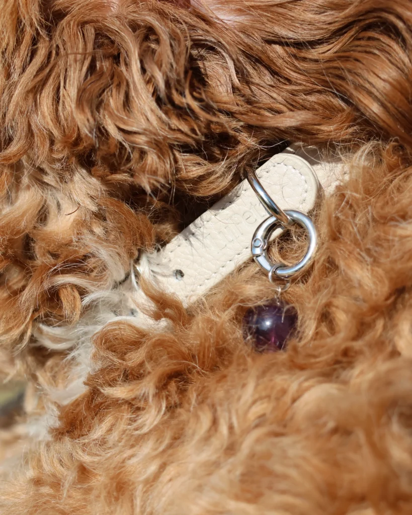 Amethyst stone on a taupe LuKra collar in a poodle's curly coat