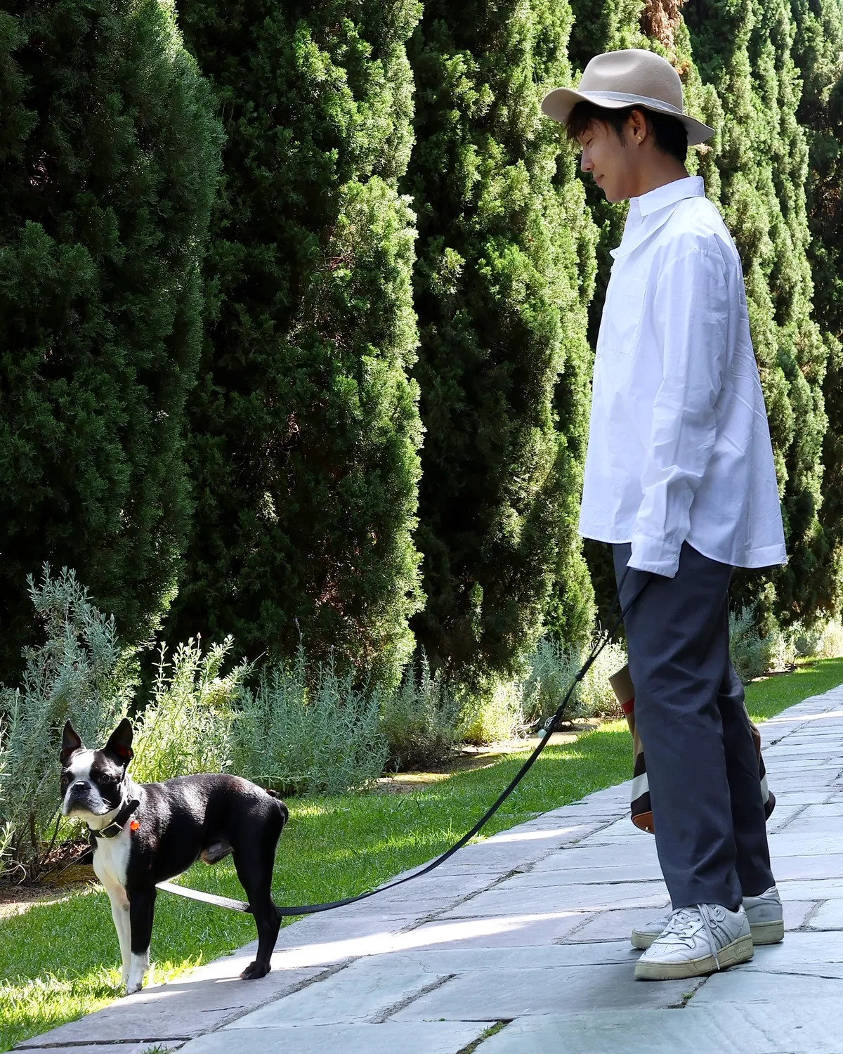 Man walking a Boston terrier on a black LuKra leash along a garden path