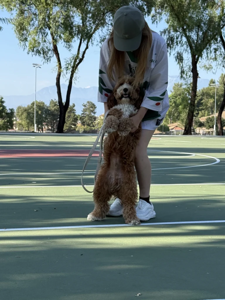 Dog owner relaxing with her dog wearing a LuPetz crystal collar